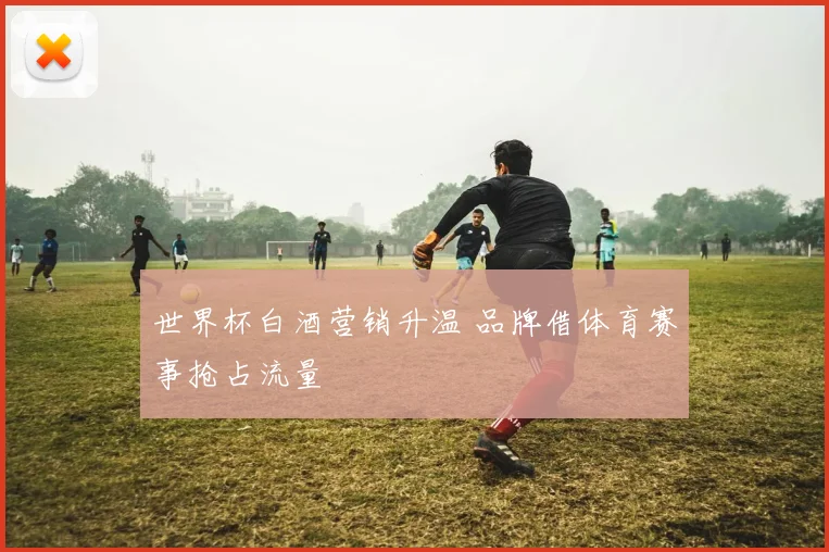 世界杯白酒营销升温 品牌借体育赛事抢占流量
