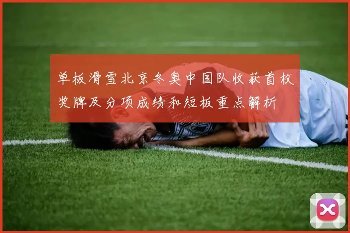 单板滑雪北京冬奥中国队收获首枚奖牌及分项成绩和短板重点解析