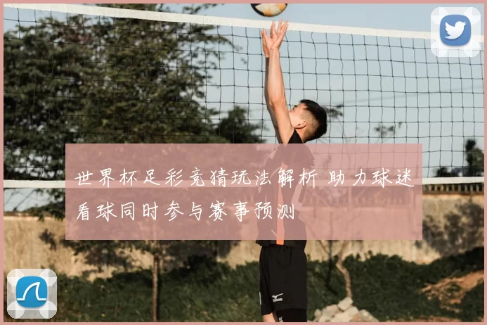 世界杯足彩竞猜玩法解析 助力球迷看球同时参与赛事预测